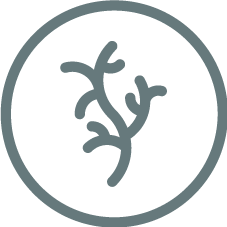 Varices-ZAPATOS-CONFORTABLES--Y-ELEGANTES-PICCADILLY